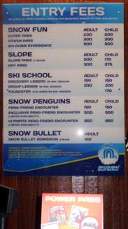 Emirates Mall Ski